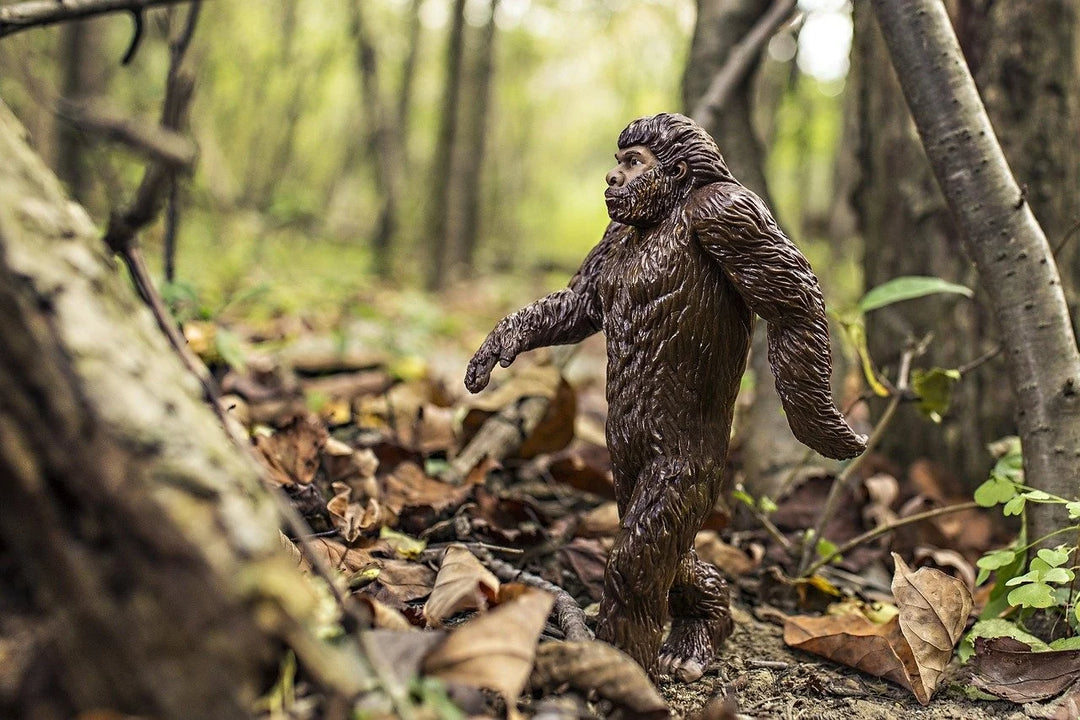 The urban legend of Bigfoot in Oklahoma