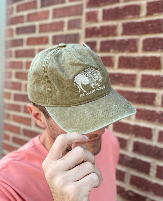 Great Plains Dad Hat