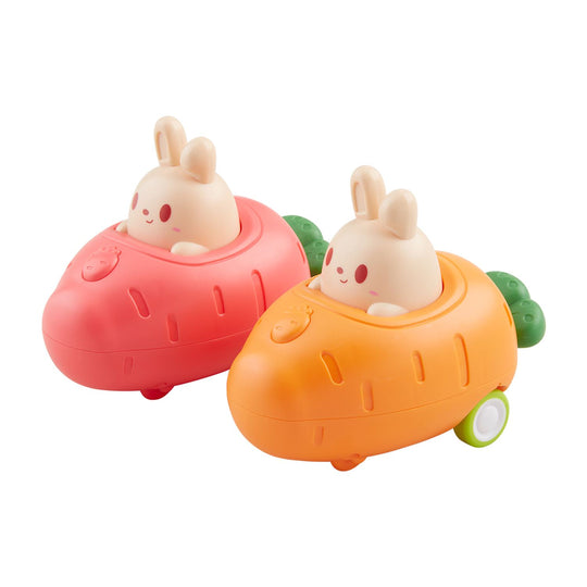 Bunny Press & Go Toy