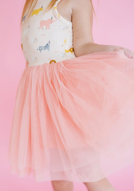 Birthday Party Animal Tutu Dress