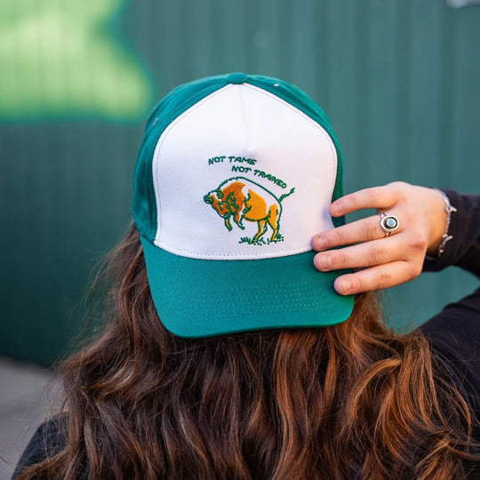 Not Tame, Not Trained Bison Trucker