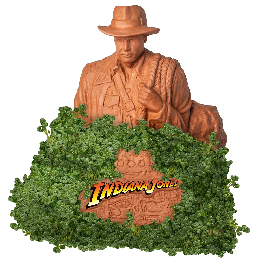 Indiana Jones Chia Pet