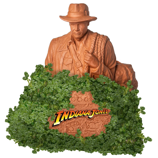 Indiana Jones Chia Pet