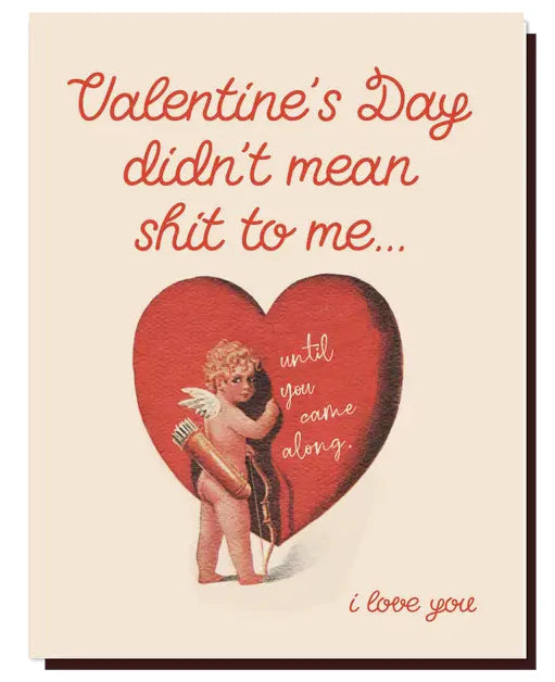 Valentine's Day Didn't Mean S*** Card