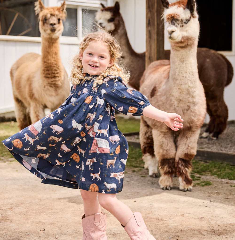 Stevie Puff Sleeve Dress