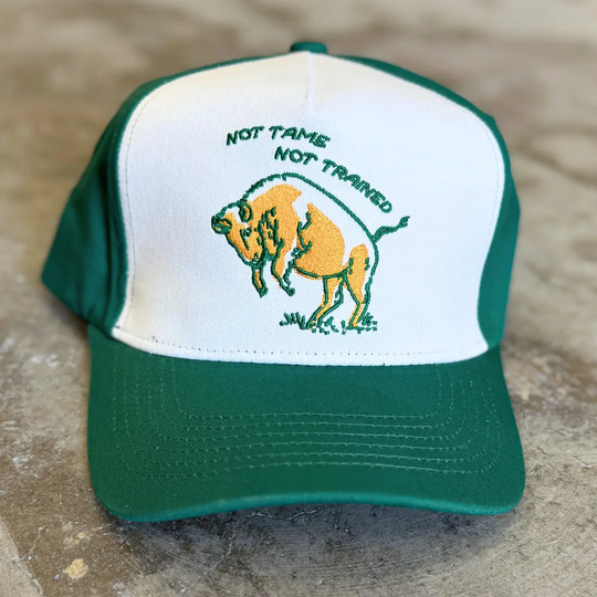 Not Tame, Not Trained Bison Trucker